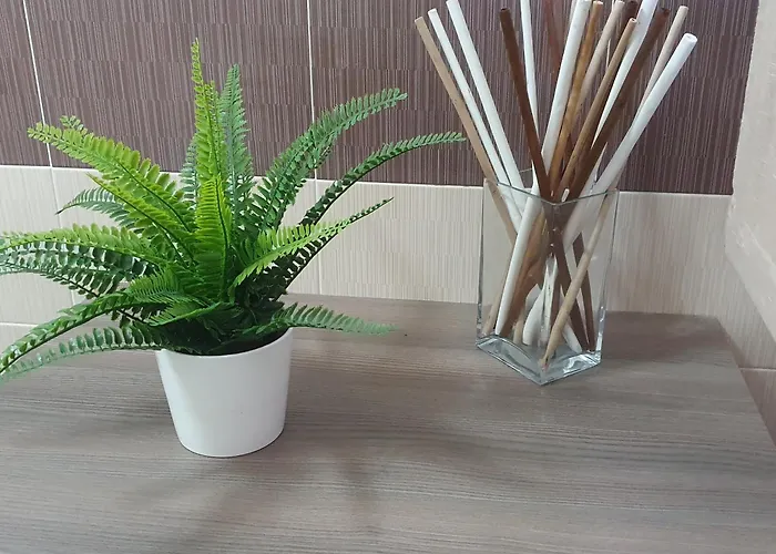 A&d 아파트 이몰라